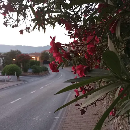 Cala D'ambra 펜션 산테오도로