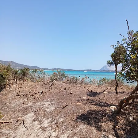 Cala D'ambra *
