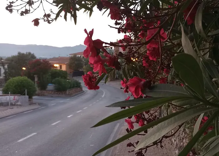 Cala D'ambra Dom wakacyjny San Teodoro (Sardinia)